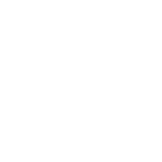 AUDIO SYSTEM